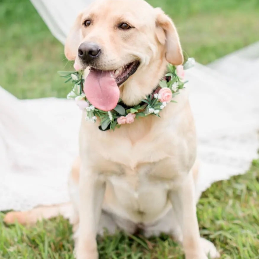 Roots Wedding Florals Vendor Photo