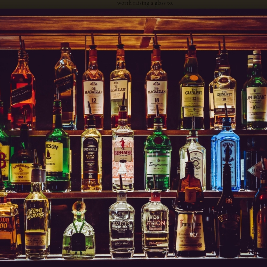 Boozy Bison Mobile Bar Vendor Photo